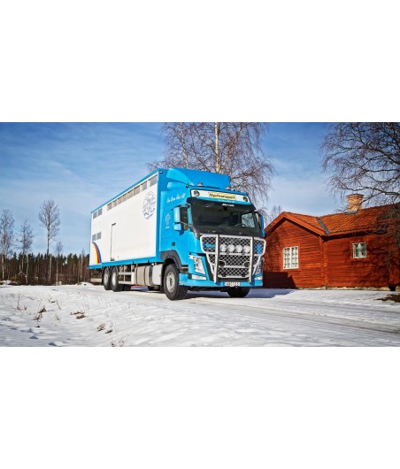 Pare-buffle Offroad Volvo FM4